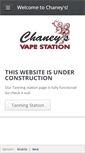 Mobile Screenshot of chaneystores.com